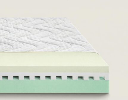 matrix memory dorsal