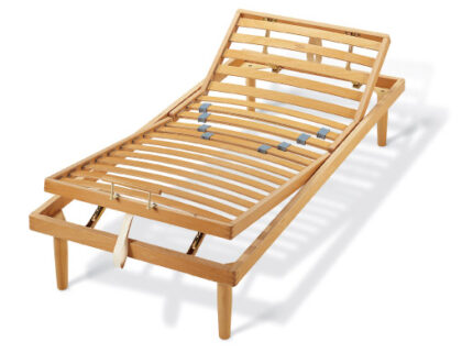 rete a doghe dorsal sana ga