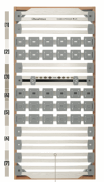 rete matrimoniale dorsal point 300 fa