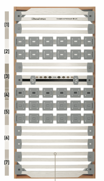 rete matrimoniale dorsal point 300 fa