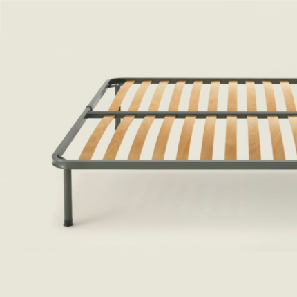 rete varial dorsa na fa