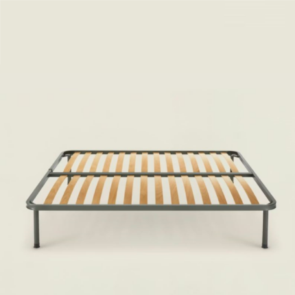 rete varial dorsa na fa