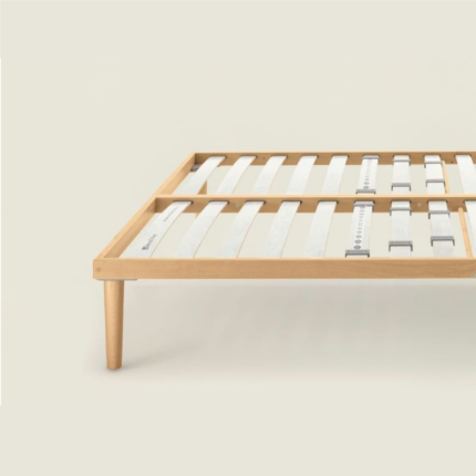 rete dorsal viva la fazza