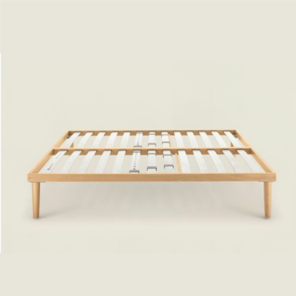 rete dorsal viva la fazza