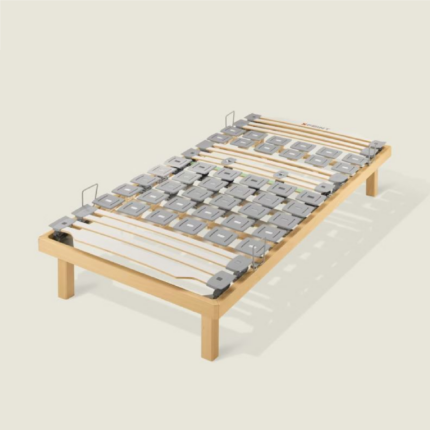 rete dorsal xpoinr 300 na