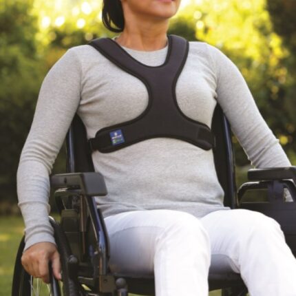 Cintura pettorale a farfalla KOALA