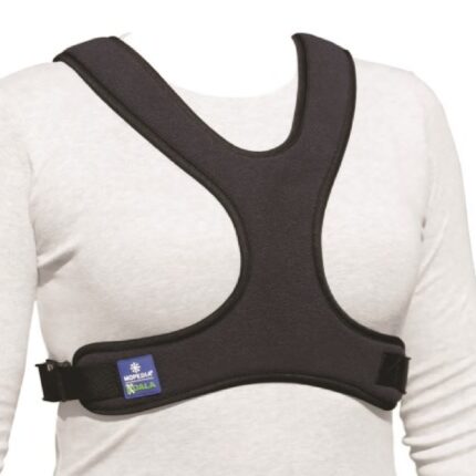 Cintura pettorale a farfalla KOALA