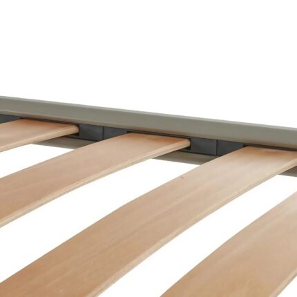 rete fissa regular dorelan