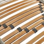 rete dogapiù dorelan