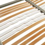 rete dogapiù dorelan