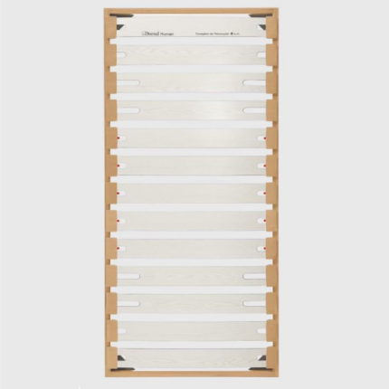 rete dorsal human r4 strong