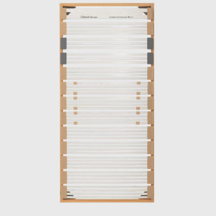 rete dorsal human active na fa