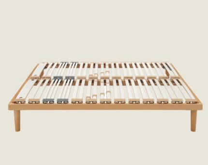 Rete human active dorsal