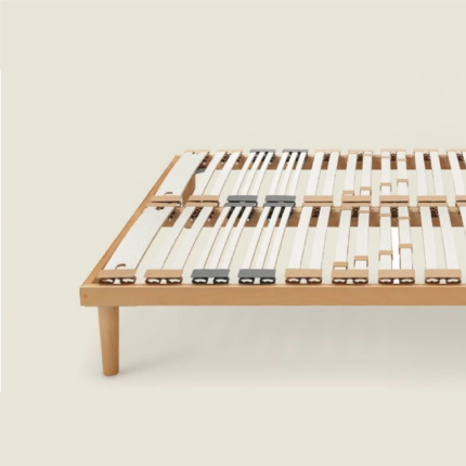 rete dorsal human fa na