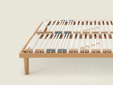 Rete human active dorsal