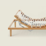 Rete dorsal human Active