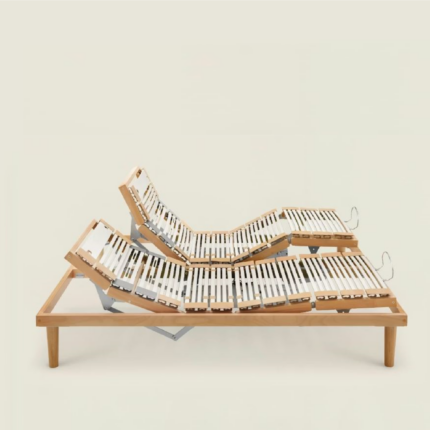 rete letto dorsal human activity