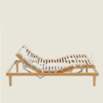 Rete dorsal human Active