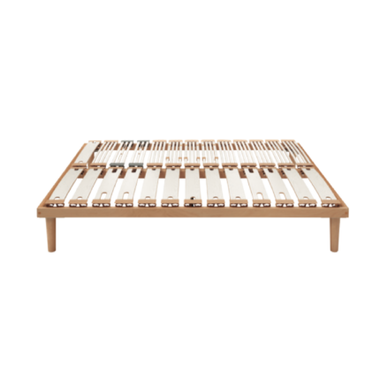 rete dorsal human family