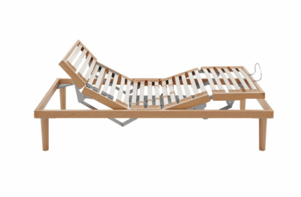 rete motorizzata dorsal ergo