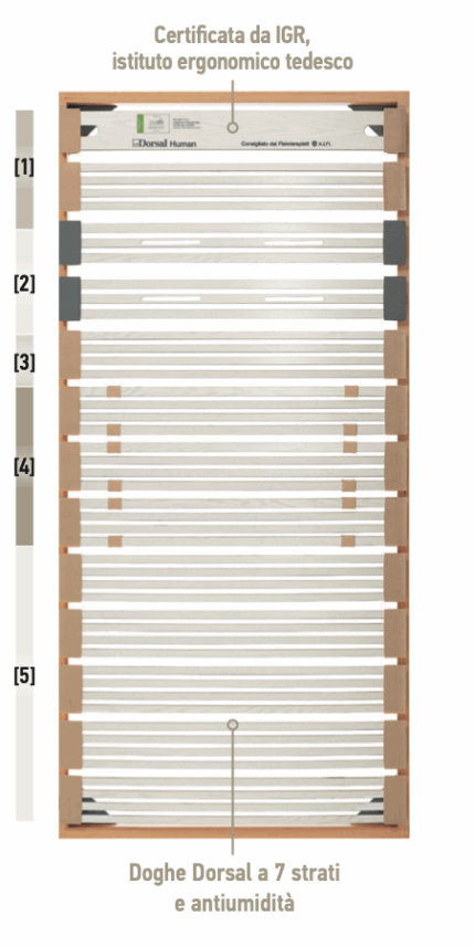 rete motorizzata dorsal human active r4