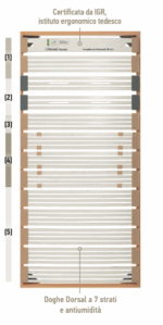 rete dorsal human family