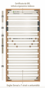 rete dorsal human family