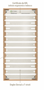 rete dorsal human strong