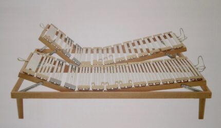 rete a doghe dorsal human family