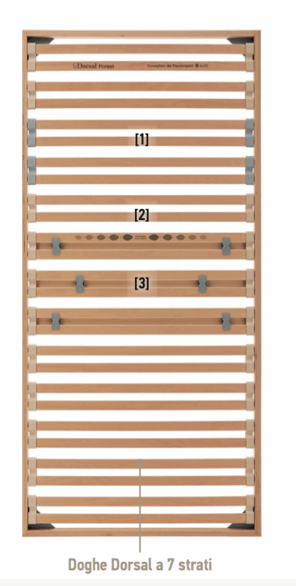 rete motorizzata dorsal ergo