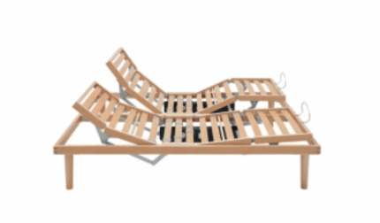 rete motorizzata dorsal sana fra