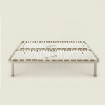 rete supernova plus dorsal