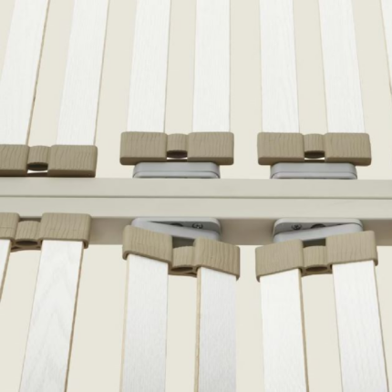 rete supernova plus dorsal