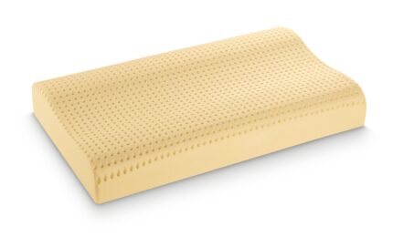 guanciale memory eco milla cervicale