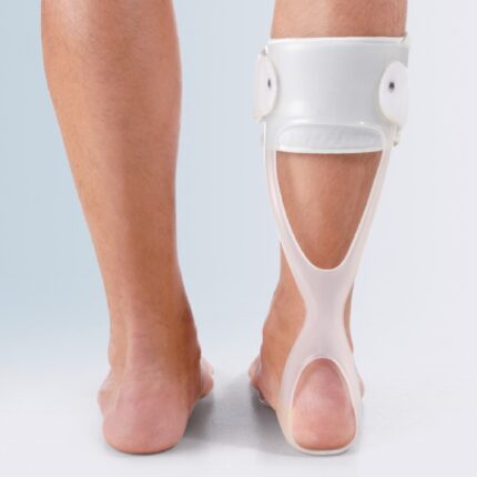 Molla di Codivilla CVO-400