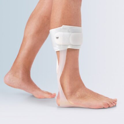 Molla di Codivilla CVO-400