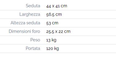 Sedia da comodo con ruote, due delle quali con freni di stazionamento, dotata di braccioli ribaltabili e pedane estraibili regolabili in altezza: struttura in acciaio; copri seduta in ecopelle imbottita e vaso con coperchio in plastica; disponibile n