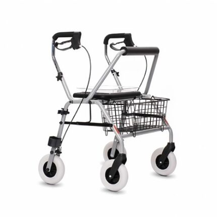 Rollator bariatrico KIEV