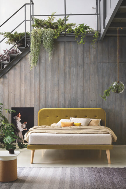 testiera dorsal simplicity c 80 c 85