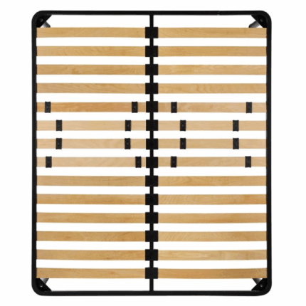 rete zen noi della notte