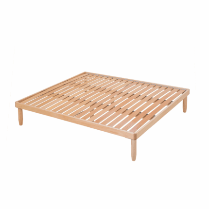 rete safari noi della notte