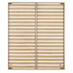 rete safari noi della notte