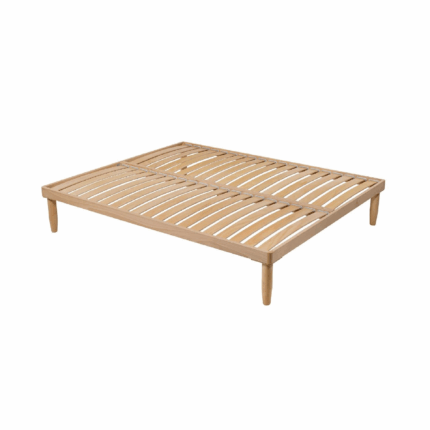 rete safari noi della notte