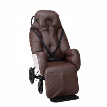 Poltrona geriatrica elettrica ELYSEE