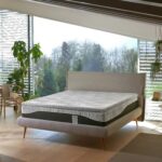 topper relife dorelan 3