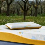 cuscino revolution dorelan