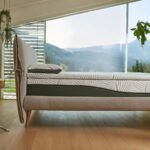 topper relife dorelan 5