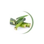 Coprimaterasso sanitario Profili