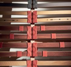 Rete Antares Il Benessere-154733