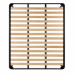 rete plus noi della notte